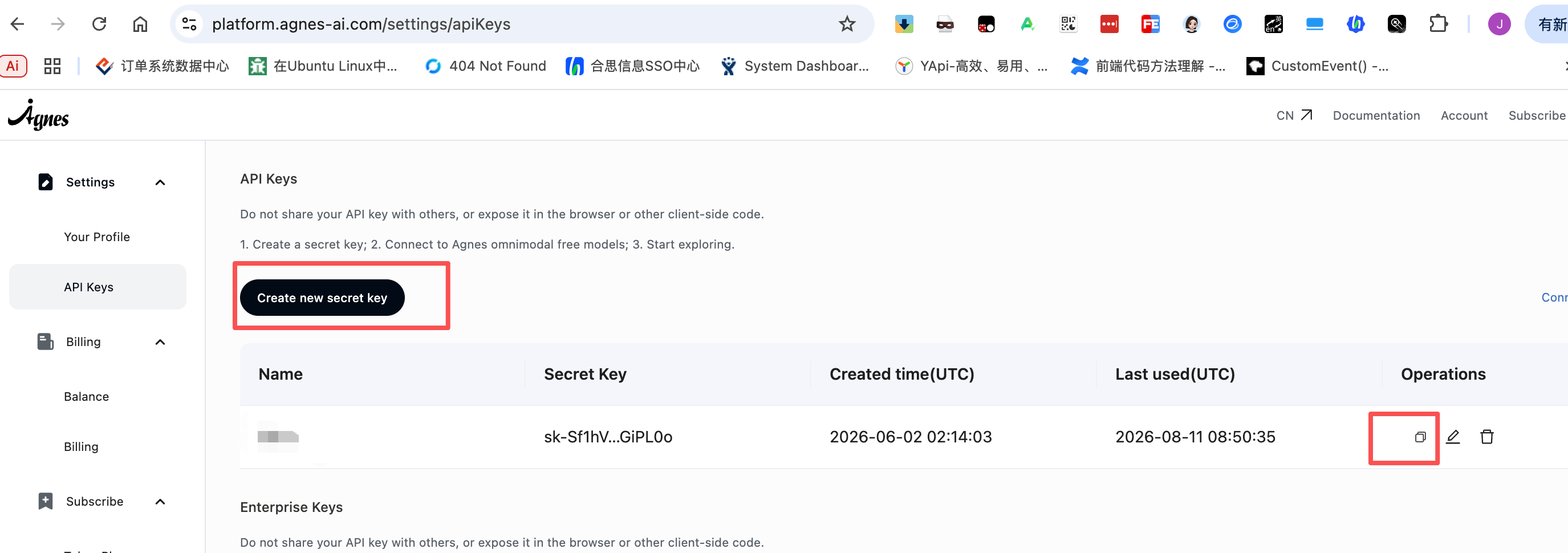 Agnes 创建并复制 API Key